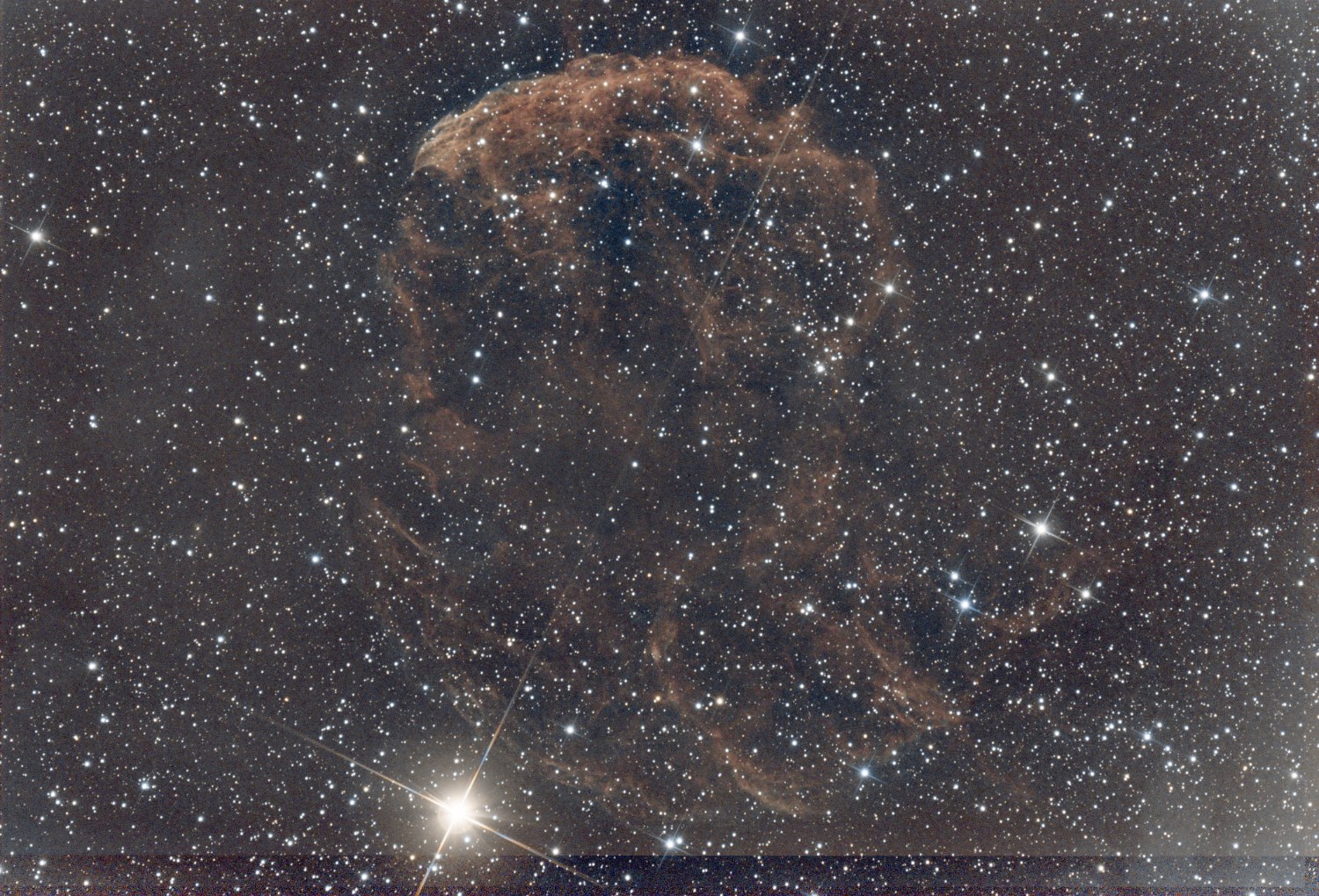KANGOFO ELONGO_Carmélie_19-05