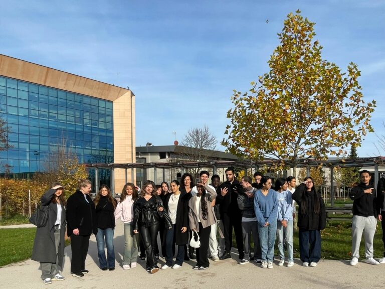 WhatsApp Image 2025-11-13 at 07.56.35