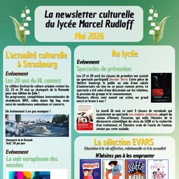 Newsletter Culture
