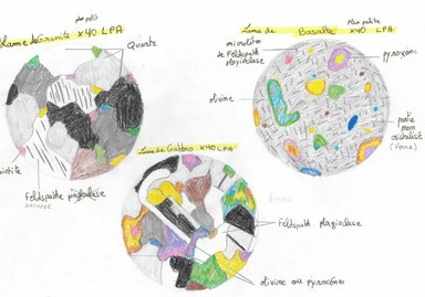 Le dessin scientifique en SVT, un outil un peu désuet mais toujours indispensable !