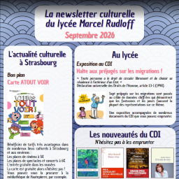 Newsletter Culture