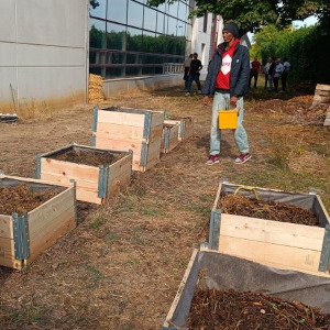 Le potager fait peau neuve